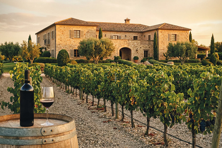 VIAJE ALREDEDOR DEL VINO