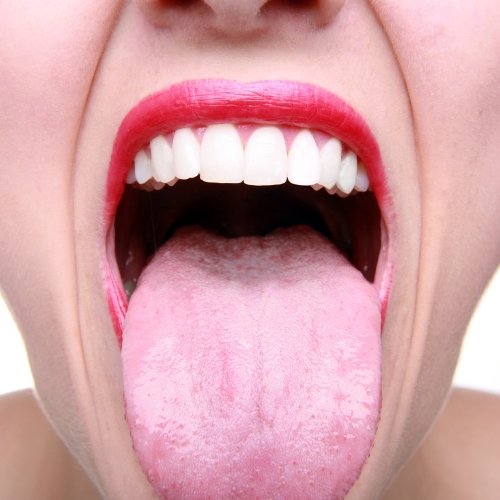 Taste buds